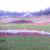 Рославцев Андрей